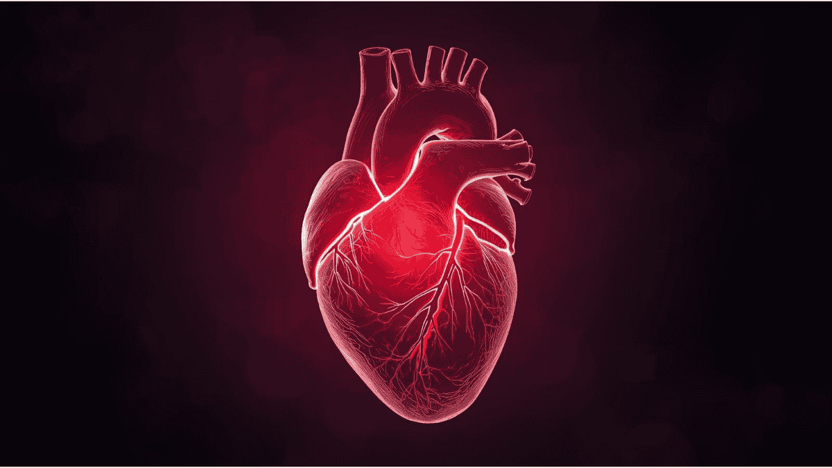 Top 10 Heart-Healthy Diets